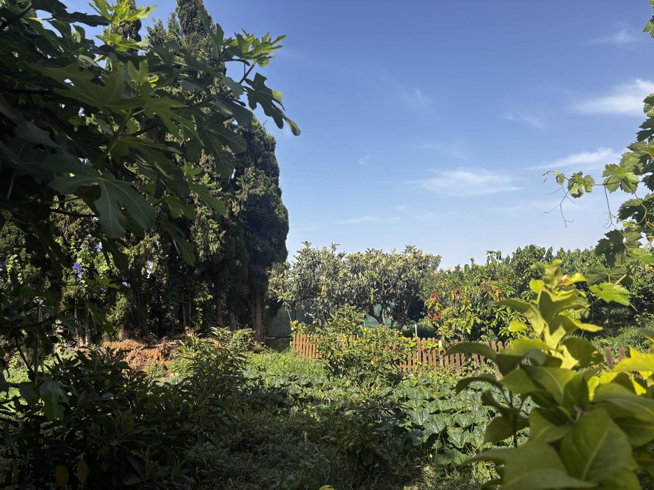 Country Houses · Salobrena · 2 hab.