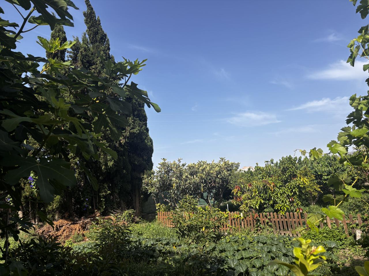 Country Houses · Salobrena · 2 hab.