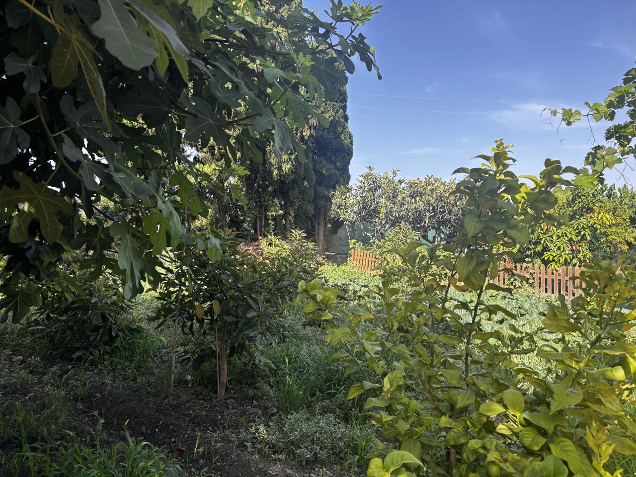 Country Houses · Salobrena · 2 hab.