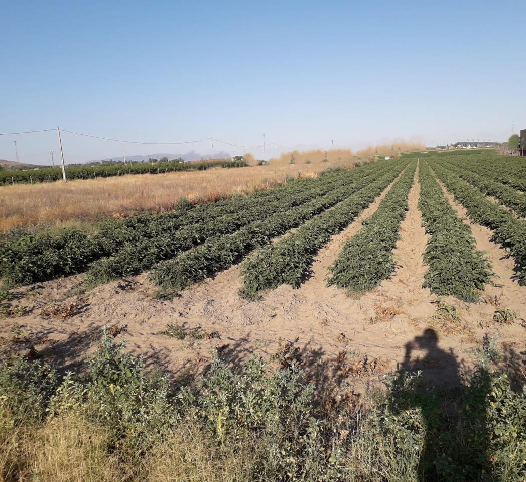 Terreno en venta en Badajoz