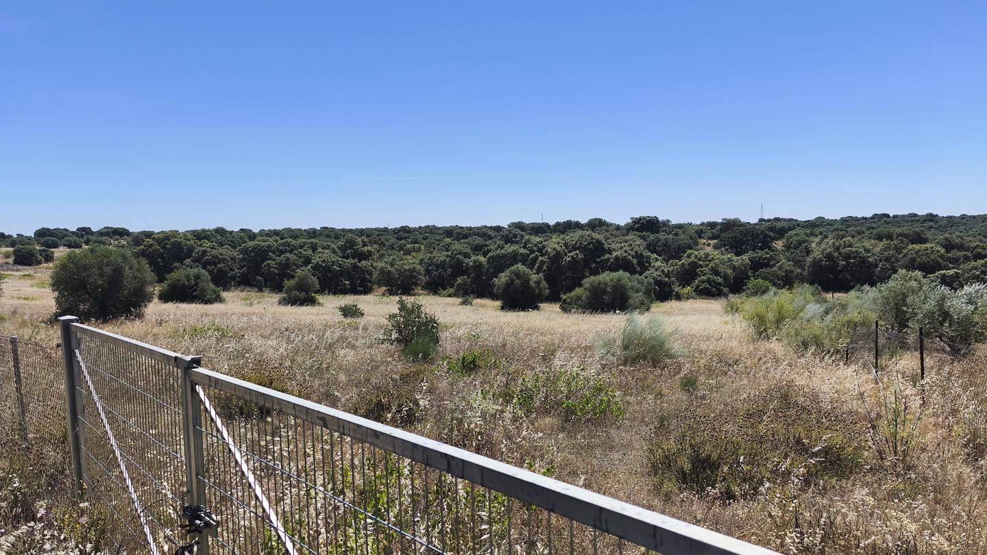 Terreno en Camino de los Olivares, Hormigos, Toledo de 9393 m2