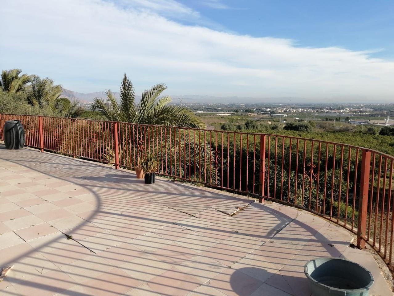 Terreno en Paraje El Campico, Orihuela, Alicante de 13100 m2