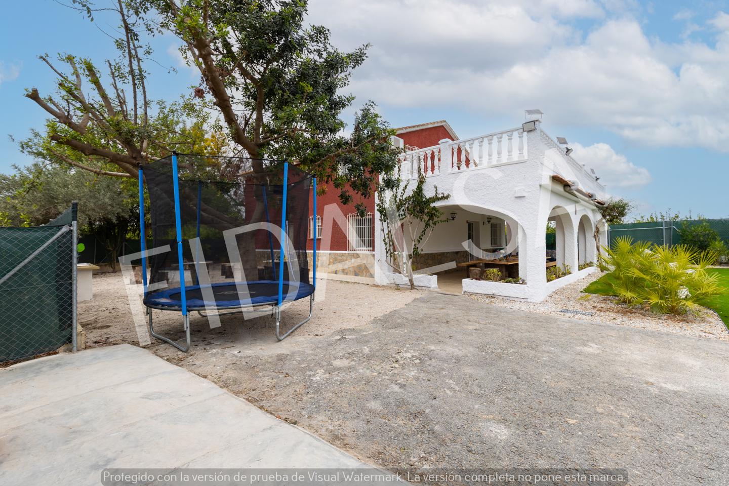 Picture