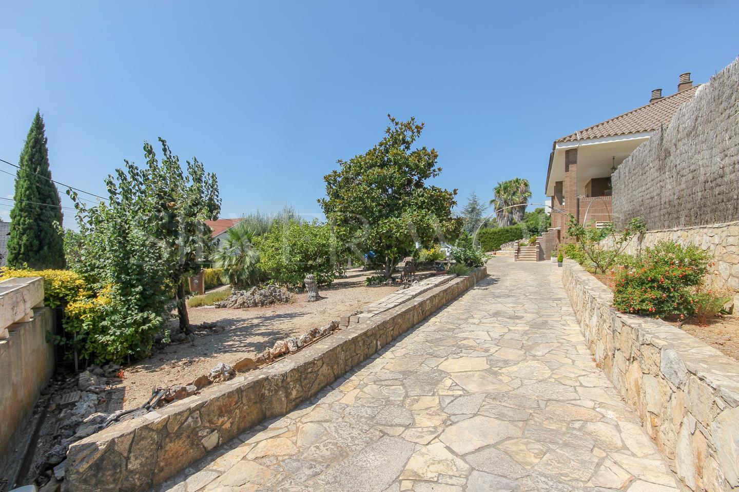 Picture