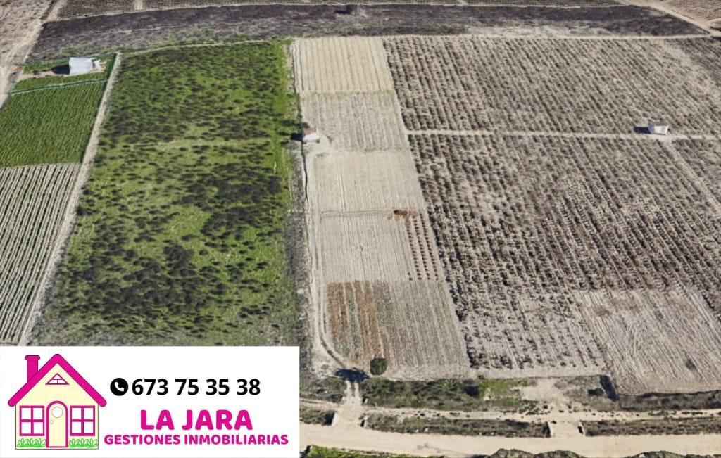 Terreno en venta en Cádiz