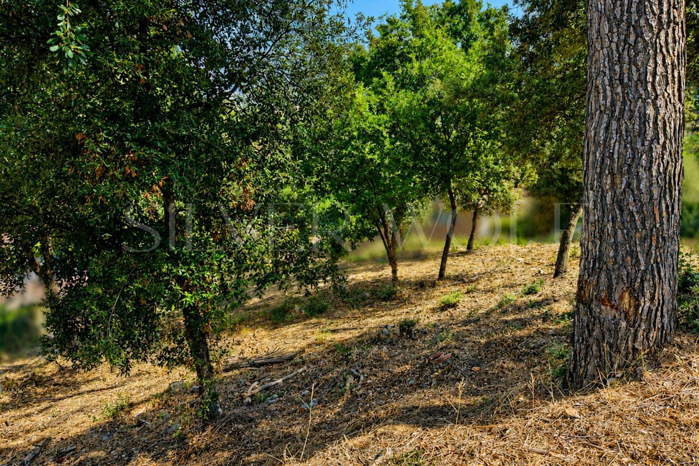 Terreno en Carrer Carme Tv, Cervelló, Barcelona de 746 m2