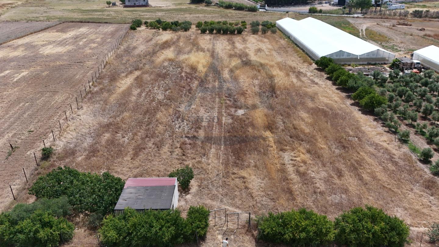 Terreno en Los Palacios y Villafranca, Sevilla de 10000 m2