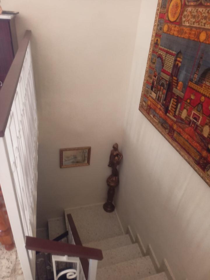 Galería 12