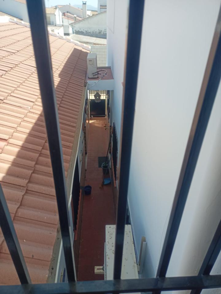 Galería 17