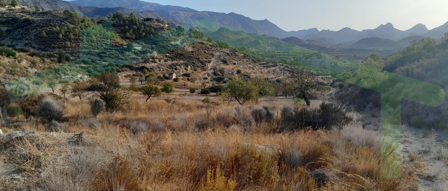 Terreno en Partida Macaroves, Relleu, Alicante de 36000 m2