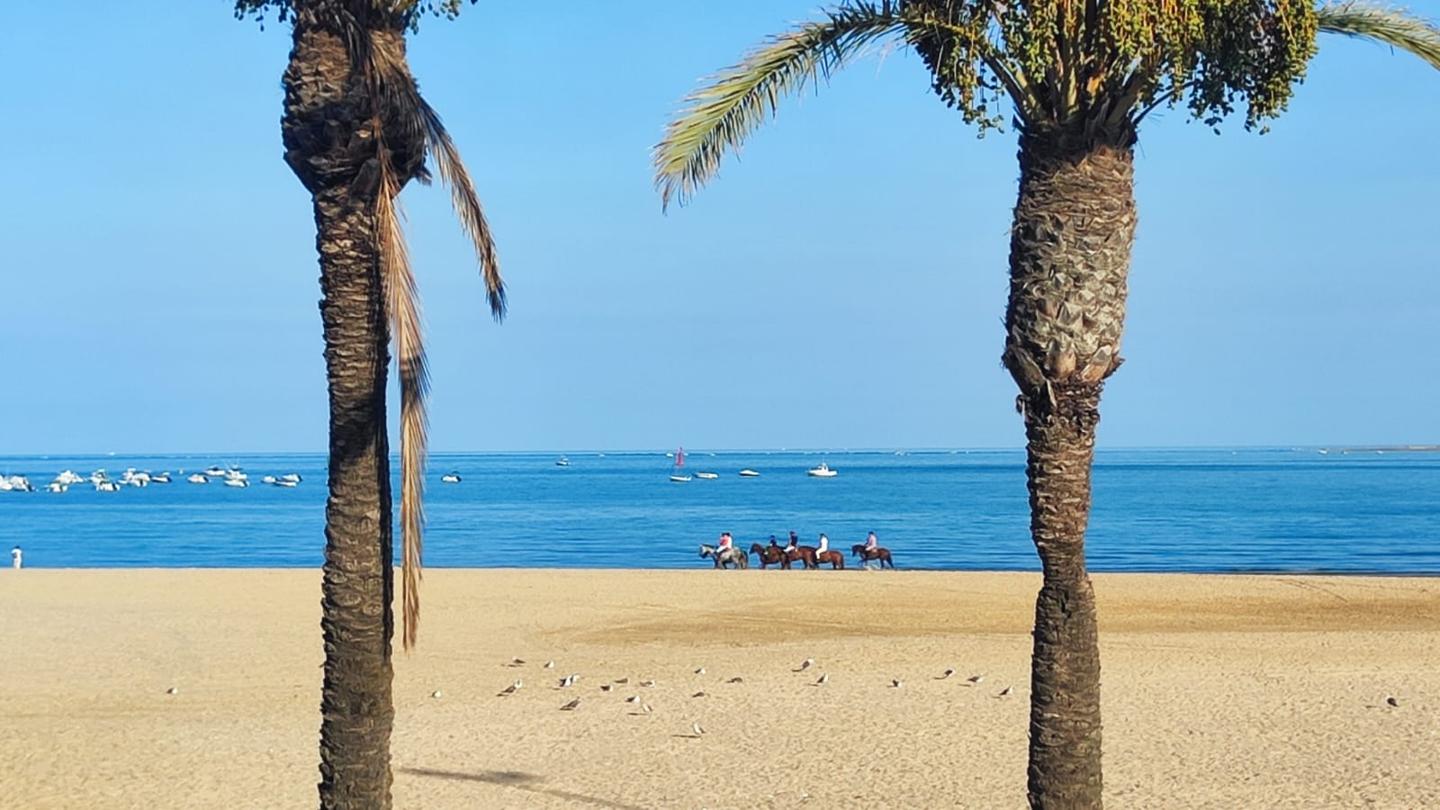 Apartamento en 1º linea de playa con vistas al mar. 5