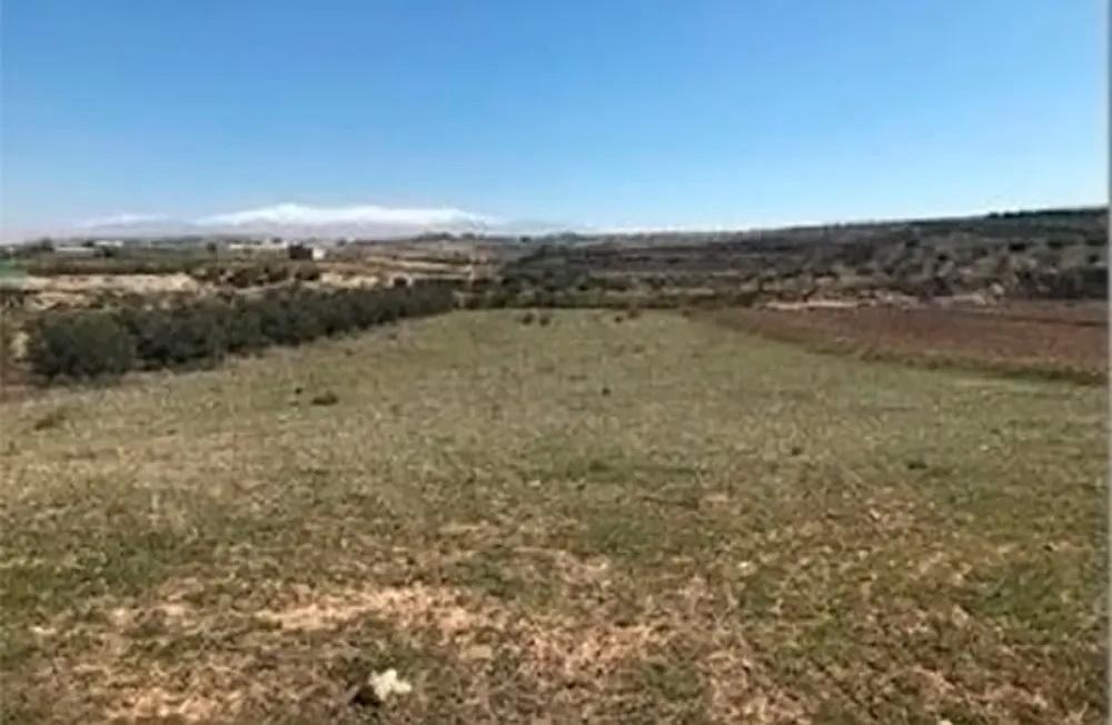 foto de FINCA RÚSTICA EN CHIMENEAS, GRANADA