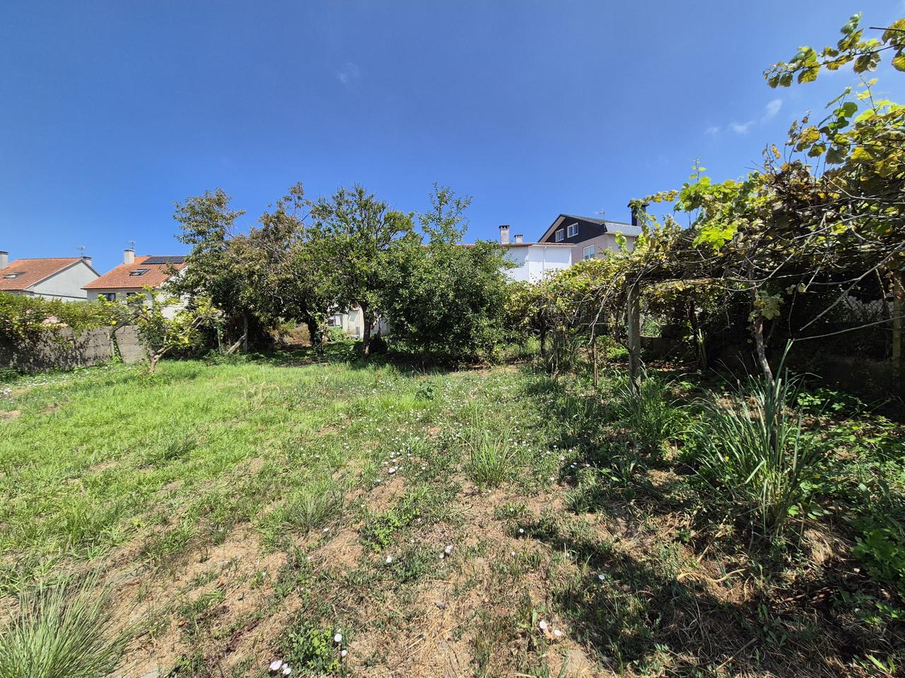 Terreno en Rúa de Xavier Sensat, Vigo, Pontevedra de 1555 m2