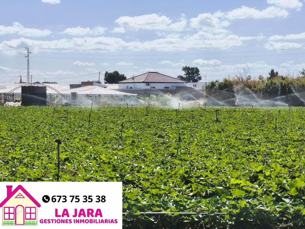 Terreno en Camino de la Jara, SAnlúcar de Barrameda, Cádiz de 4800 m2