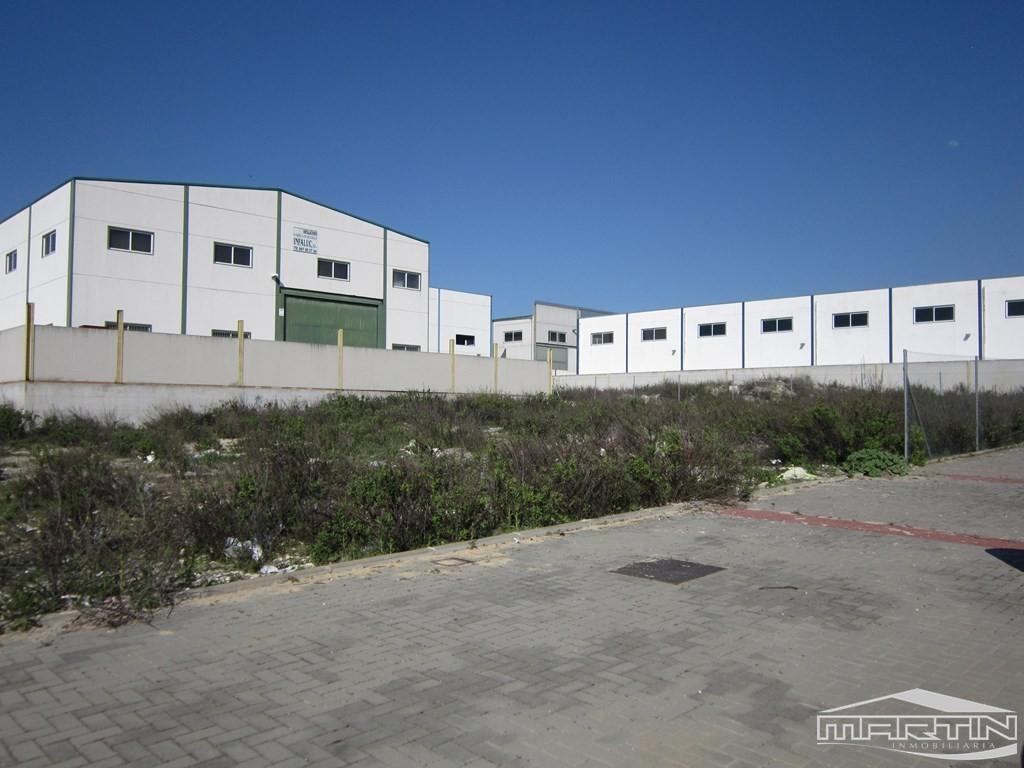 Terreno en Príncipe Felipe, Lucena, Córdoba de 1650 m2