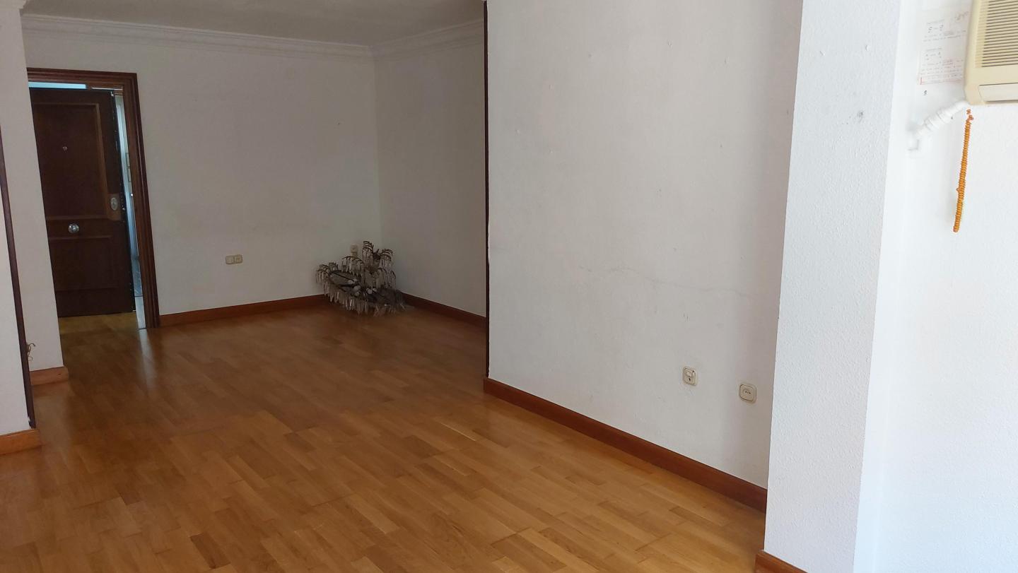 Galería 5