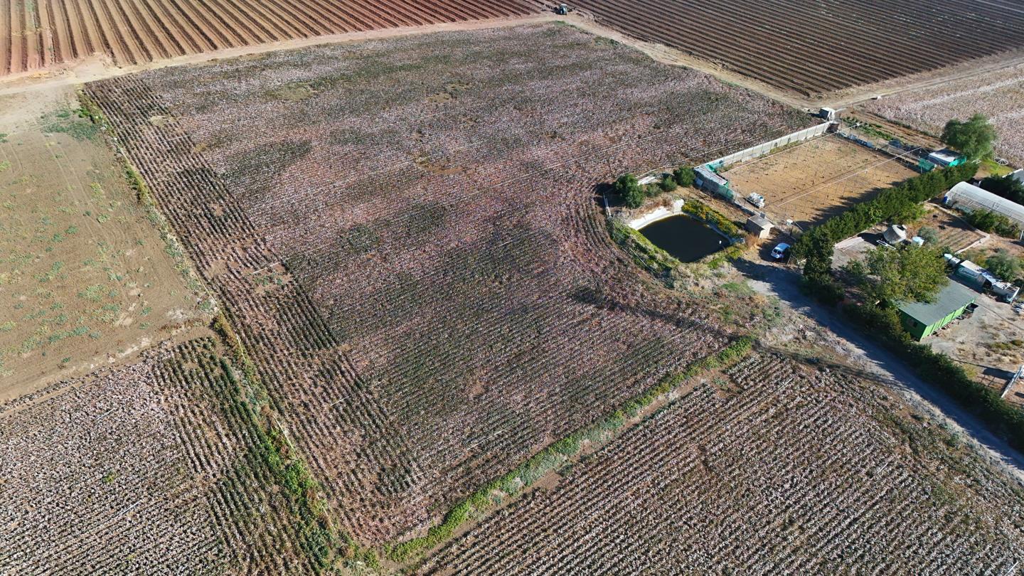 Land in Las Cabezas de San Juan, Sevilla of 17874 m2