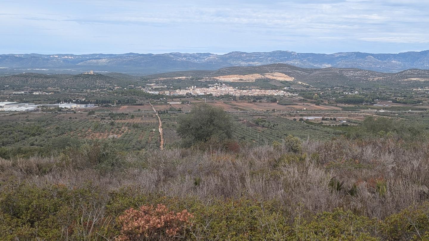 Terreno en La Cogula S/N, Ulldecona, Tarragona de 11075 m2