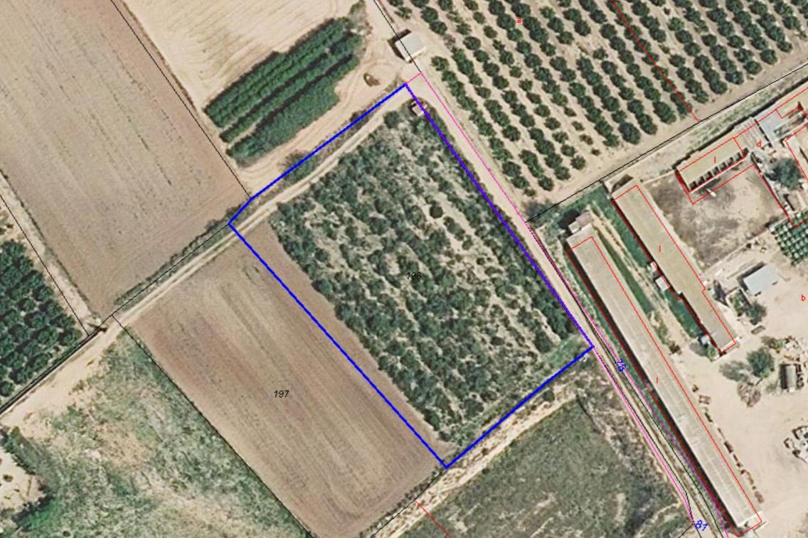 Terreno en Els Plans S/N, Vinaròs, Castellón de 4399 m2