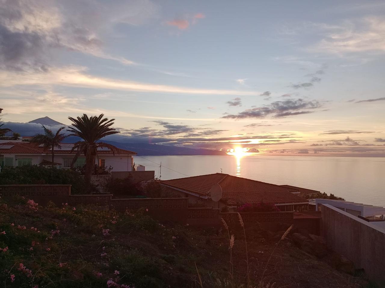 Terreno en Carretera Puerto de la Madera, Tacoronte, Santa Cruz de Tenerife de 440 m2