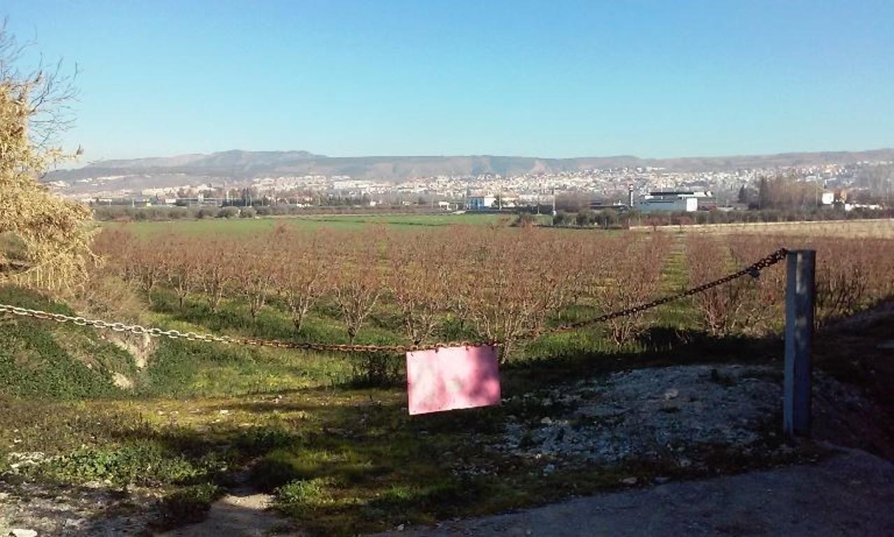 foto de TERRENO RÚSTICO EN LA ZUBIA, GRANADA