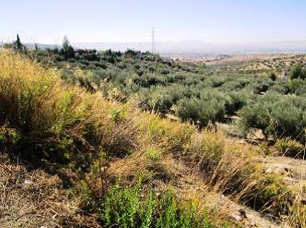 foto de TERRENO URBANO DE USO INDUSTRIAL, ALFACAR, GRANADA