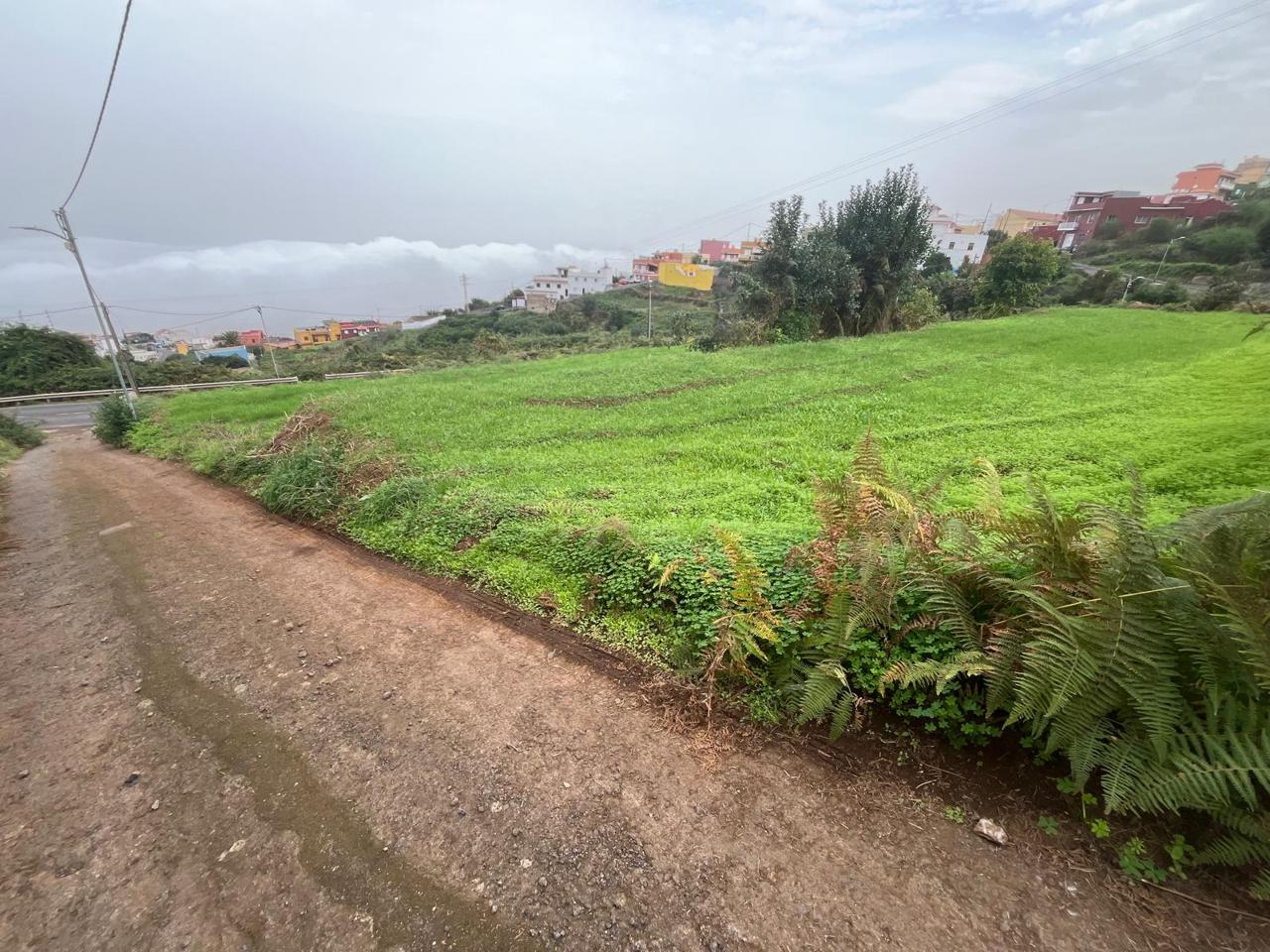 Terreno en Calle Palo Blanco, Palo Blanco, Santa Cruz de Tenerife de 800 m2