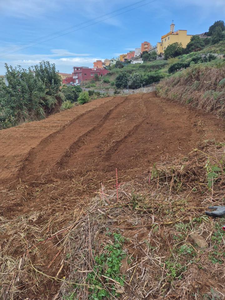 Terreno en Calle Palo Blanco, Palo Blanco, Santa Cruz de Tenerife de 800 m2