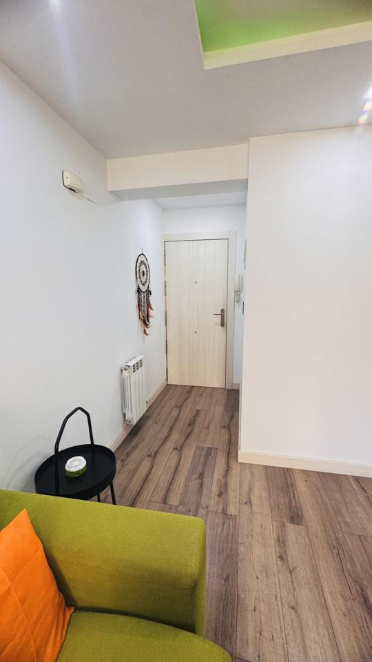 Flat Zaragoza (5)
