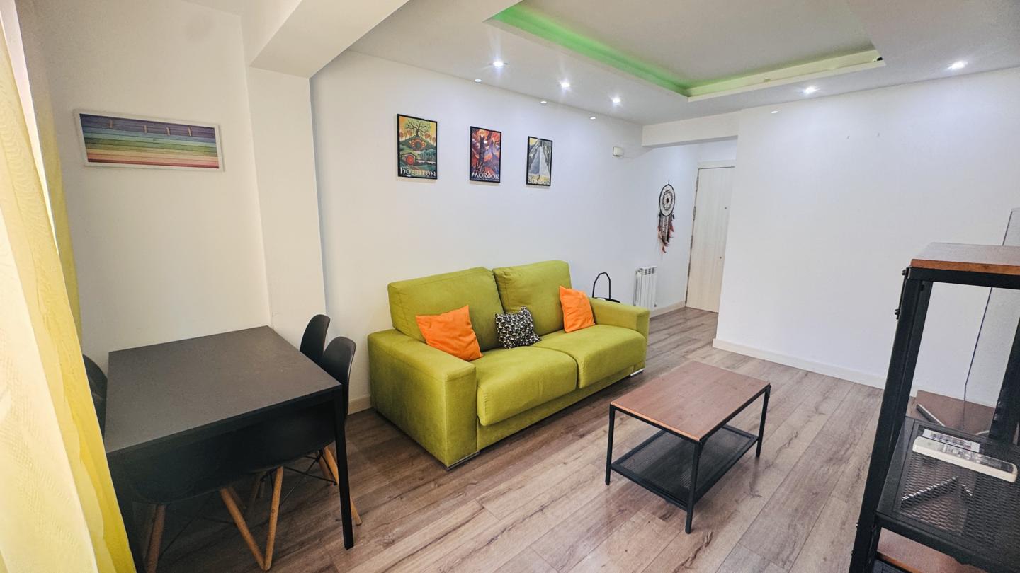 Flat Zaragoza (4)