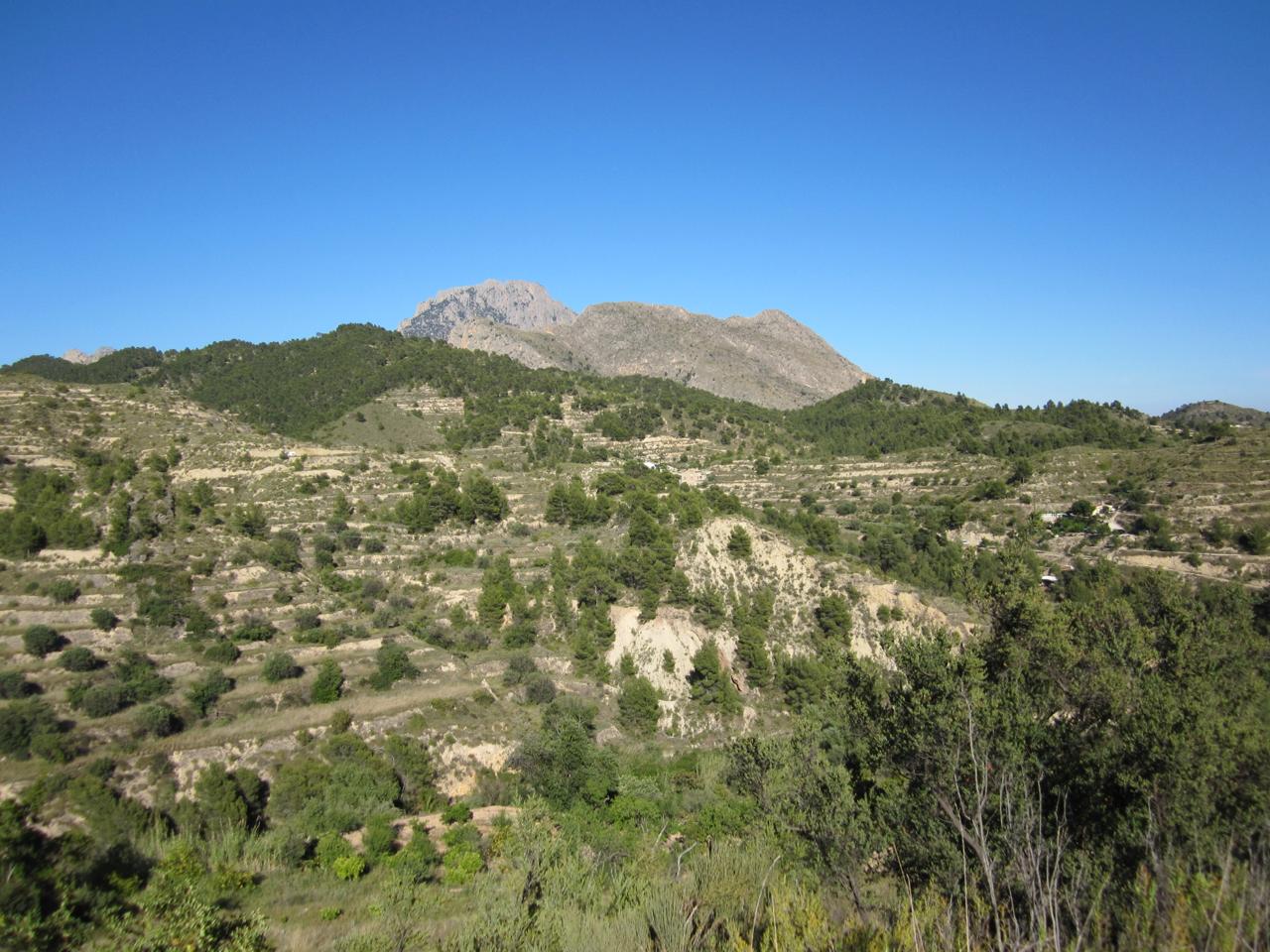 Terreno en venta en Alicante