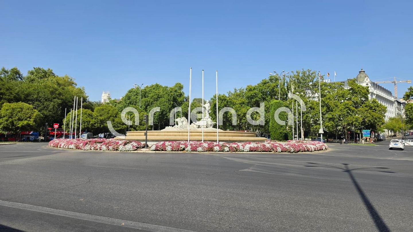estudio en madrid · centro---cortes 900€