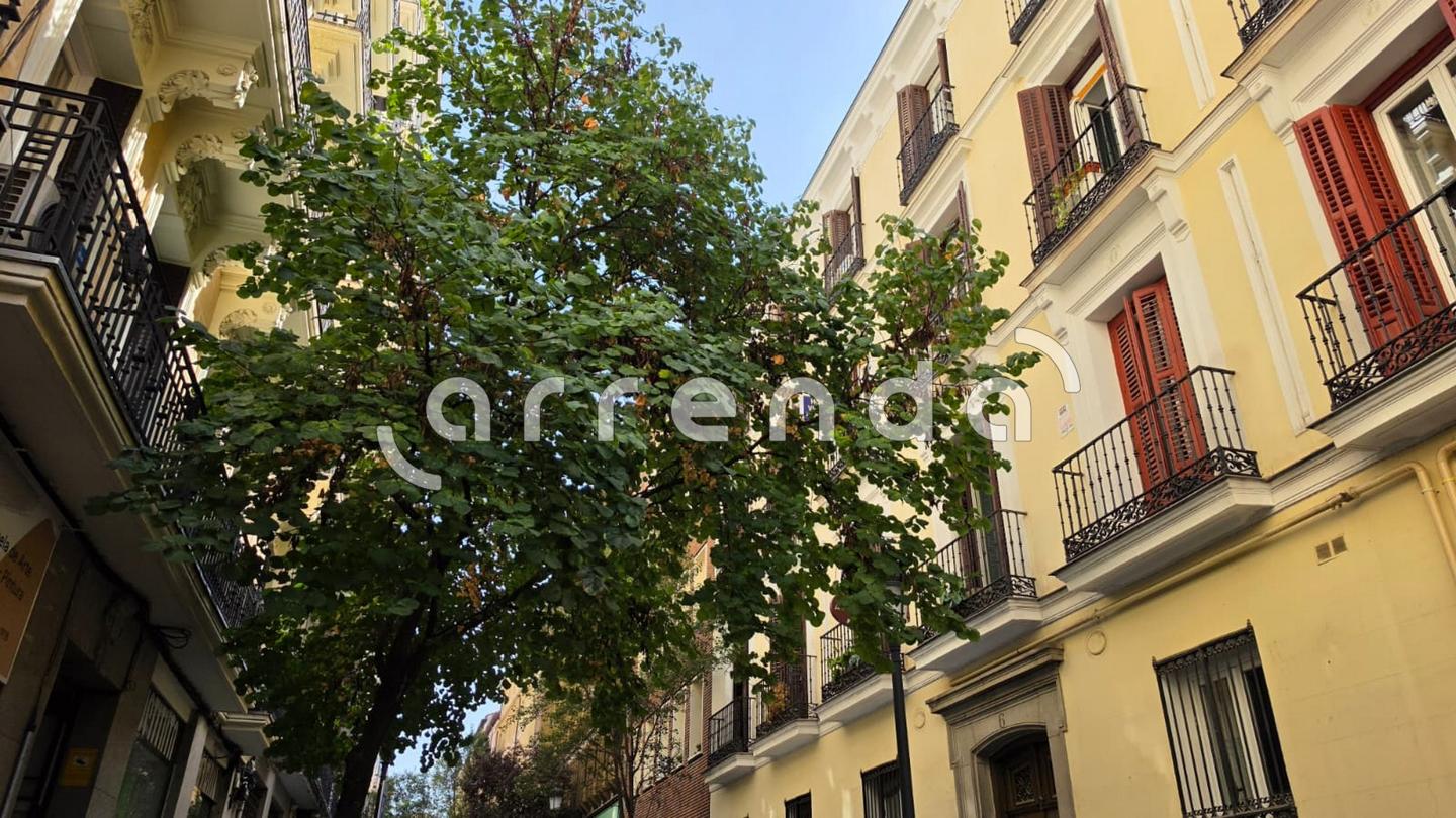 estudio en madrid · centro---cortes 900€