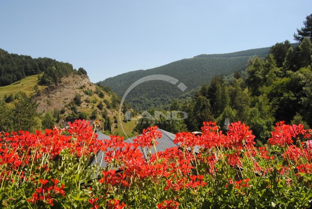 7-bedroom chalet for sale in Pal, La Massana · 36 of 49