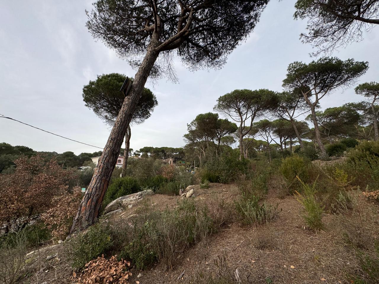 terreno en vilanova-del-valles · carrer-valles-08410 180000€