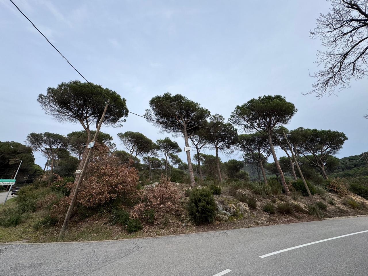 terreno en vilanova-del-valles · carrer-valles-08410 180000€