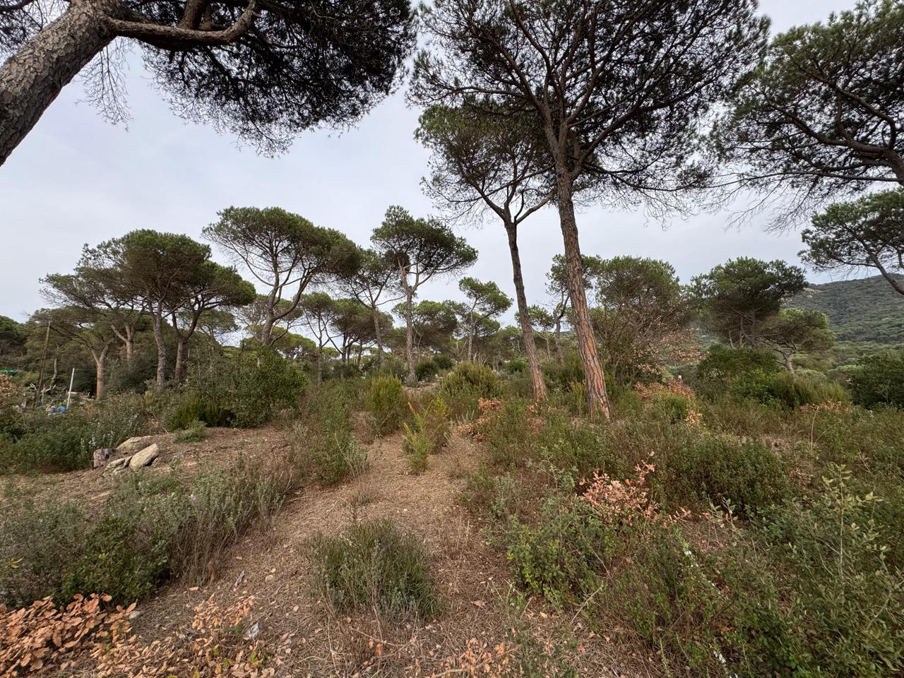 terreno en vilanova-del-valles · carrer-valles-08410 180000€