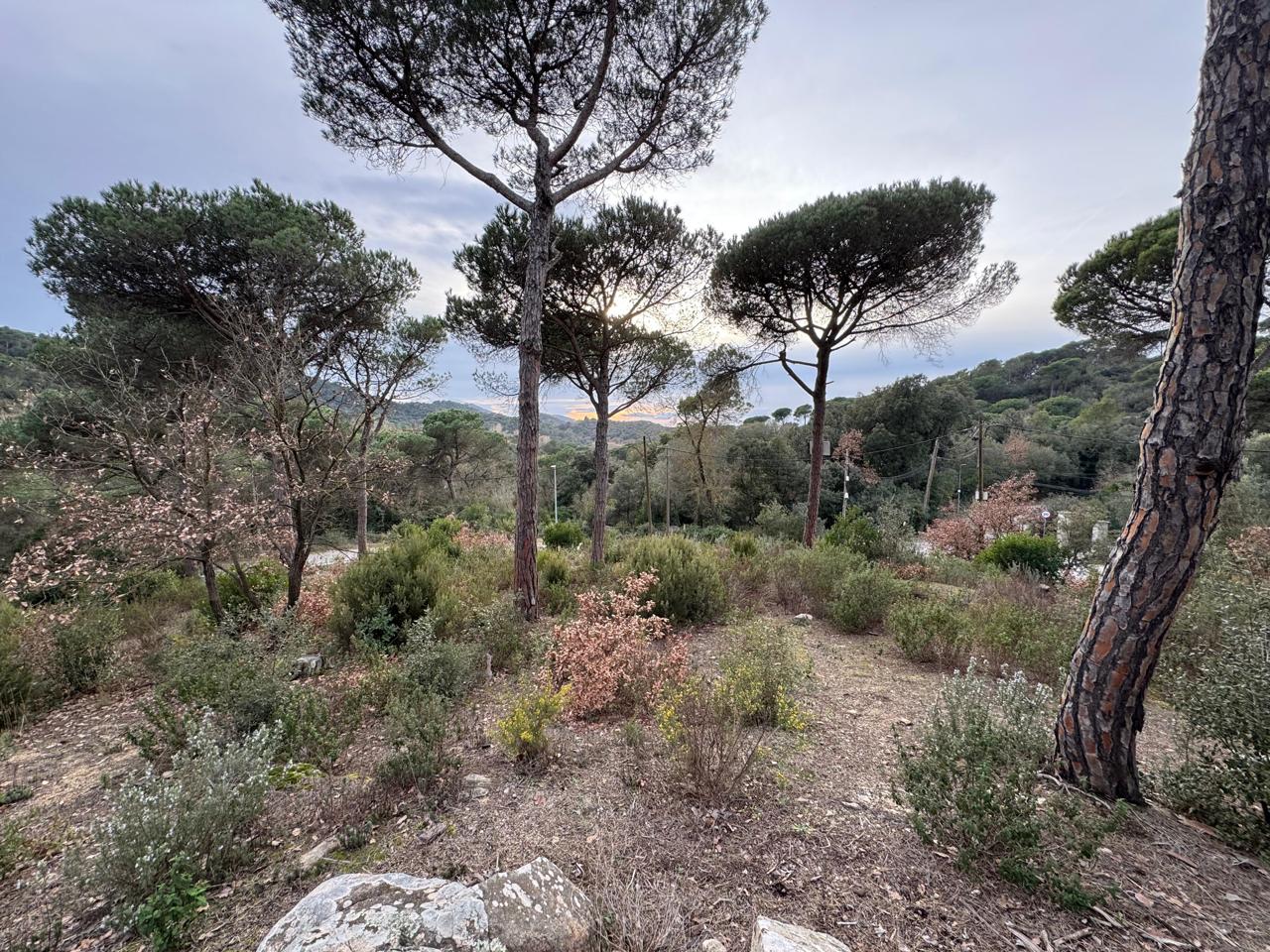 terreno en vilanova-del-valles · carrer-valles-08410 180000€