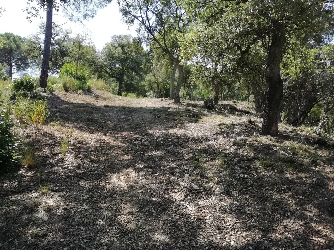 terreno en sant-celoni · carrer-riera-de-la-massaneda-08470 78000€