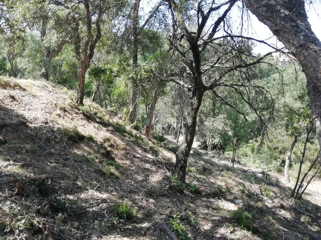 terreno en sant-celoni · carrer-riera-de-la-massaneda-08470 78000€